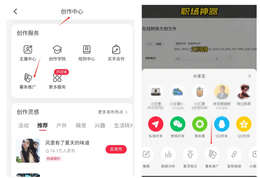 小红书转私域玩法，从0到1起盘创业粉知识付费赛道