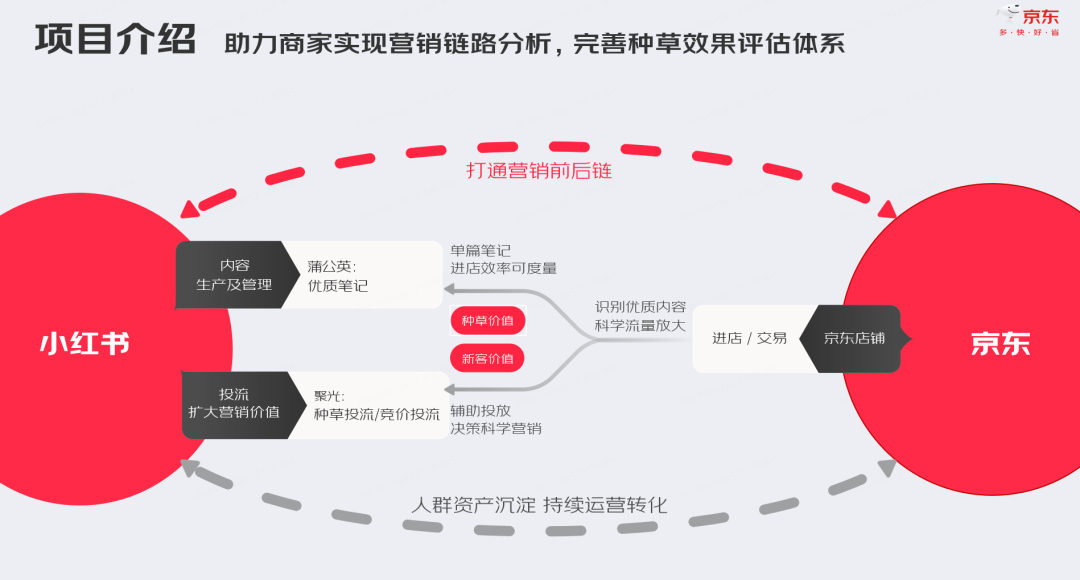 京东小红盟联动vivo X100s新品种草强势破圈，助力新品声量销量翻倍增长