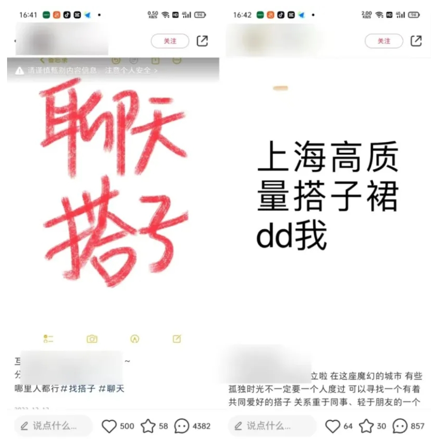 火爆的【找搭子】项目保姆式拆解，日变现500＋