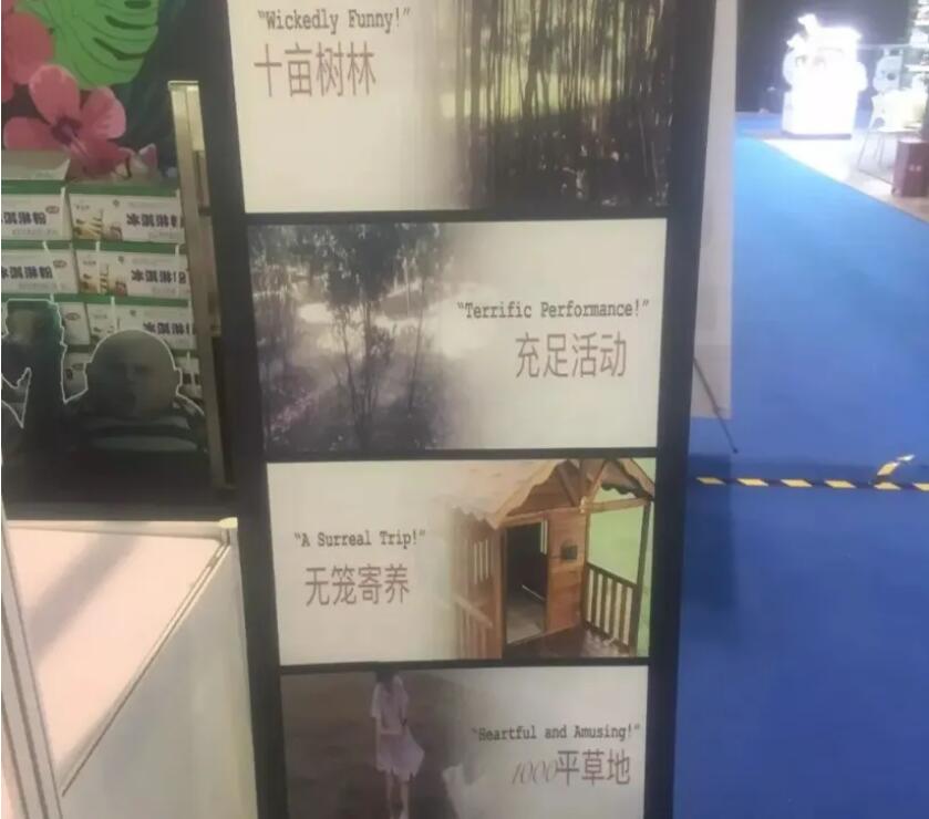 轻创业项目，宠物行业冷门市场--宠物寄养